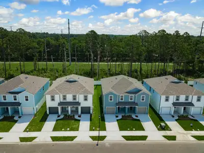 The Dogwood Series at The Landings at Pecan Park by Century Communities in Jacksonville - photo 0 0