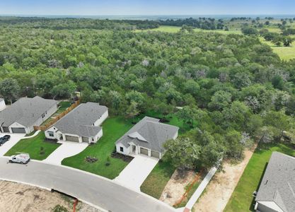 The Colony by Sitterle Homes in Bastrop - photo 33 33