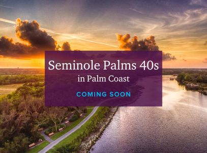 Seminole Palms 40s at Seminole Palms by Century Communities in Palm Coast - photo 12 12