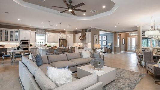 Esplanade at Wiregrass Ranch by Taylor Morrison in Wesley Chapel - photo 57 57