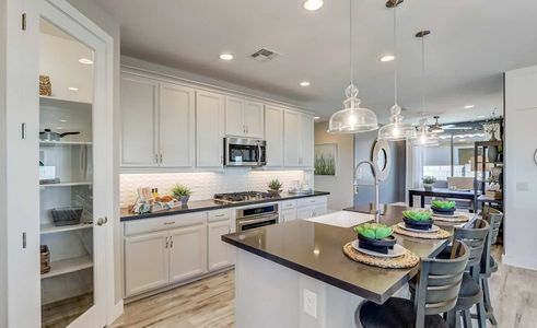 IronWing at Windrose by Brightland Homes in Litchfield Park - photo 8 8