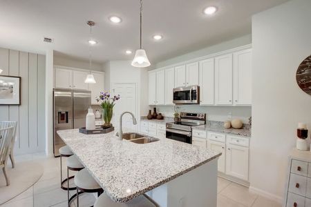 Village at Windsor Reserve by Stanley Martin Homes in Eagle Lake - photo 7 7