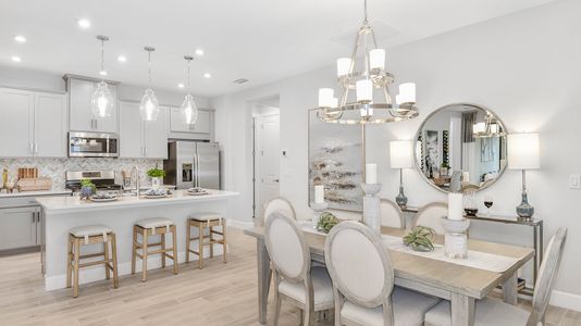 Esplanade at Artisan Lakes by Taylor Morrison in Palmetto - photo 74 74