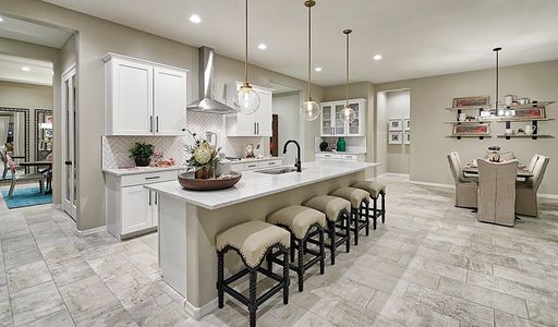 Madera West Estates by Richmond American Homes in Queen Creek - photo 10 10