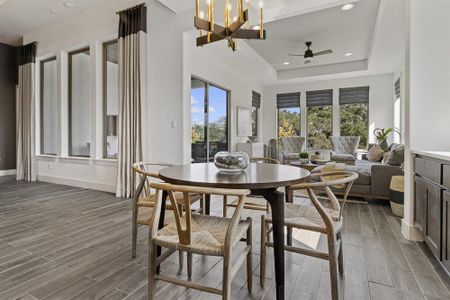 Ventana: 60's by Monticello Homes in Bulverde - photo 18 18