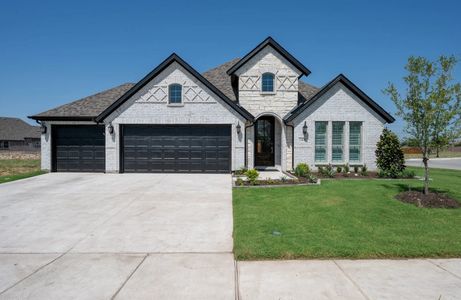 Camden Parc by Stonehollow Homes in Anna - photo 5 5