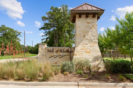 Hills of Westlake by D.R. Horton in Conroe - photo 3 3