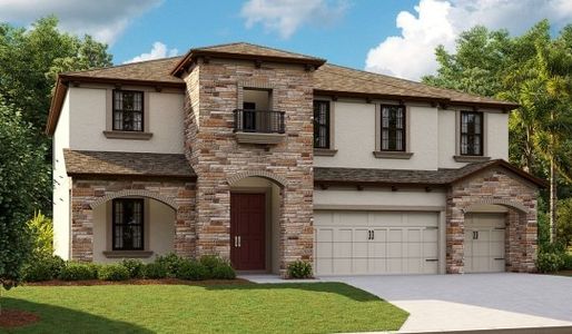 Triple Creek  by Homes by WestBay in Riverview - photo 10