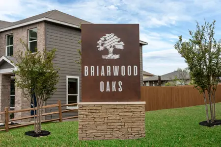Briarwood Oaks by KB Home in San Antonio - photo 23 23