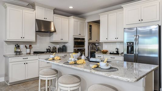 Eave's Bend at Artisan Lakes by Taylor Morrison in Palmetto - photo 28 28