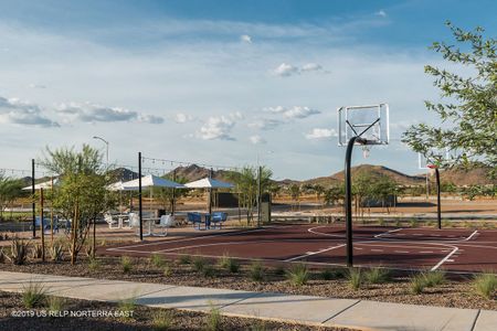 Union Park at Norterra by David Weekley Homes in Phoenix - photo 11