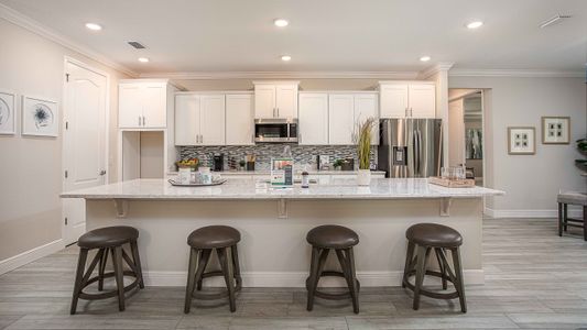 Royal Highlands by Maronda Homes in Brooksville - photo 23 23