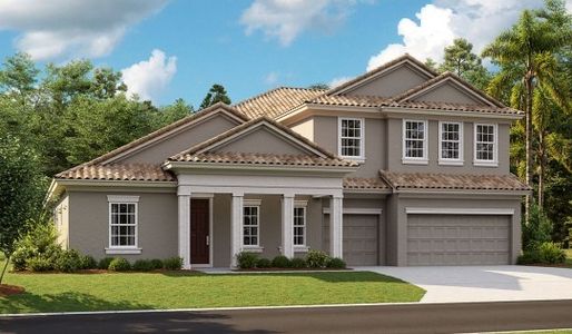 Creek Ridge Preserve by Homes by WestBay in Lithia - photo 7