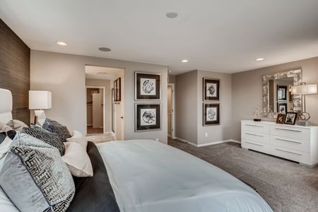The Westerly Collection at Altaira at High Point by Taylor Morrison in Denver - photo 101 101