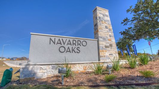 Navarro Oaks by D.R. Horton in Seguin - photo 0 0