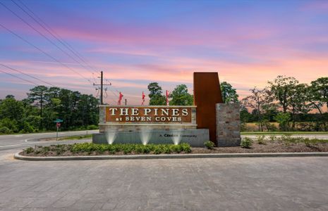 The Pines At Seven Coves by Centex in Willis - photo 1 1