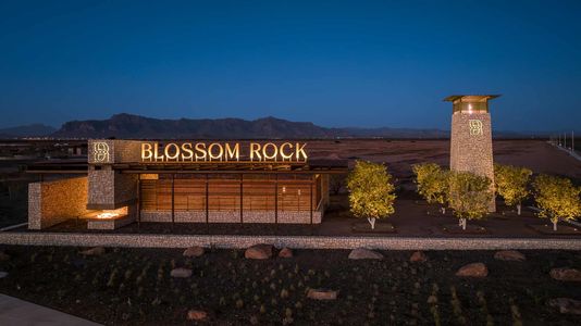 Escena at Blossom Rock by David Weekley Homes in Apache Junction - photo