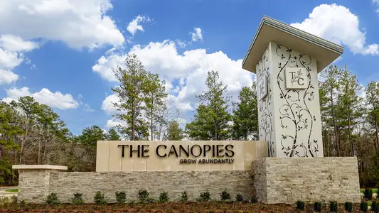 The Canopies by D.R. Horton in New Caney - photo 0 0