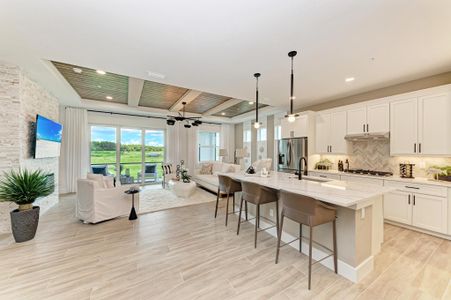 Watercolor Place Coach Homes by Medallion Home in Bradenton - photo 5 5