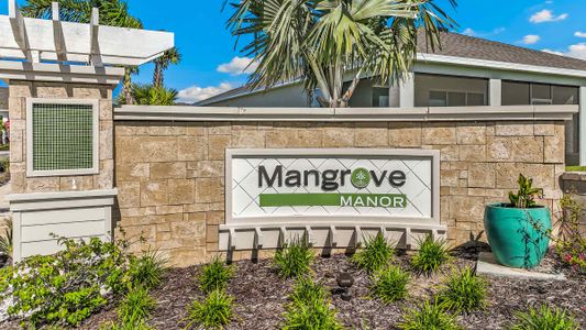 Mangrove Manor by D.R. Horton in Apollo Beach - photo 1