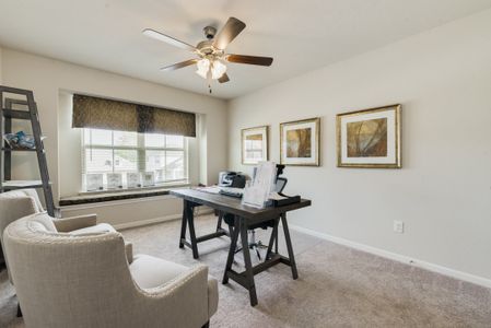Balmoral East by Colina Homes in Humble - photo 35