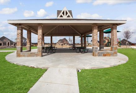 Wellington by Highland Homes in Haslet - photo 20 20