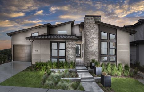 Vector at the Canyons by Infinity Properties in Castle Pines - photo 4 4