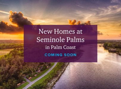 Seminole Palms by Century Communities in Woods Boulevard, Palm Coast, FL 32164 - photo