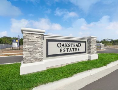 Oakstead Estates by M/I Homes in Land O' Lakes - photo 25 25