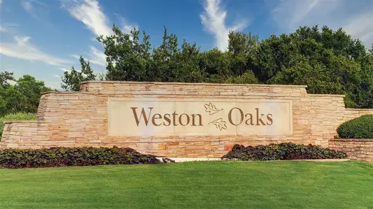Weston Oaks 55' by Perry Homes in San Antonio - photo