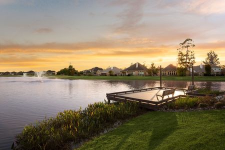 The Meadows at Imperial Oaks by David Weekley Homes in Conroe - photo 7 7