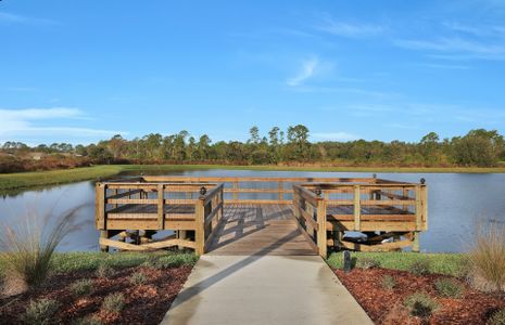 The Preserve at Bannon Lakes by Pulte Homes in Saint Augustine - photo