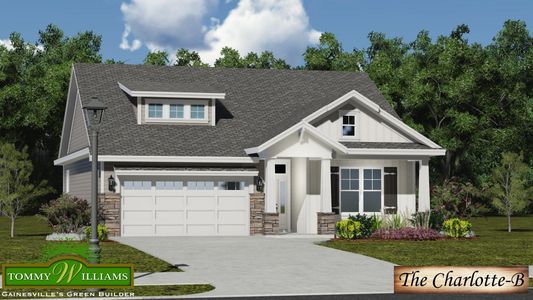 Finley Woods by Tommy Williams Homes in Gainesville - photo 2 2