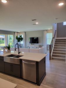 Waterbrooke by Mattamy Homes in Clermont - photo 46 46
