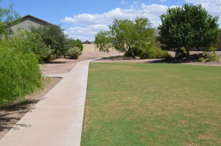 Hatfield Ranch by Providence Homes (Arizona) in Tolleson - photo 4 4