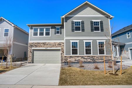 Timnath Lakes - Paired Homes by David Weekley Homes in Timnath - photo