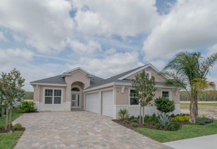 Coastal Gardens At Town Enter by Paytas Homes in Palm Coast - photo 14 14