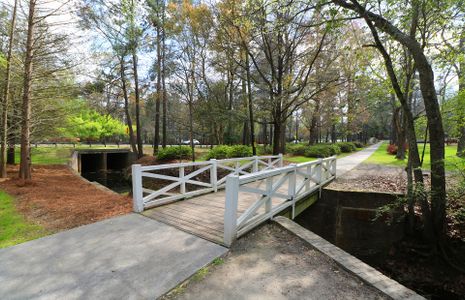 Sanctuary Cove at Cane Bay by Centex in Summerville - photo 7 7