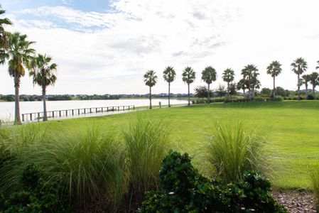Waterset by Cardel Homes in Apollo Beach - photo 40