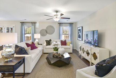 Petterson Meadows by Mungo Homes in Summerville - photo 76 76