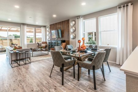 Mosaic Story Collection - Single Family Homes by Hartford Homes in Fort Collins - photo 14 14