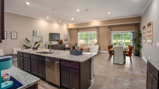 Village Park by Maronda Homes in Green Cove Springs - photo 21 21