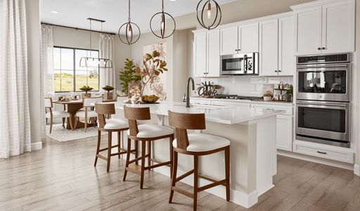 West Park Estates by Richmond American Homes in Queen Creek - photo 20 20