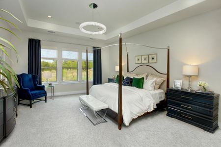 Caliterra 100's by Drees Custom Homes in Dripping Springs - photo 11 11