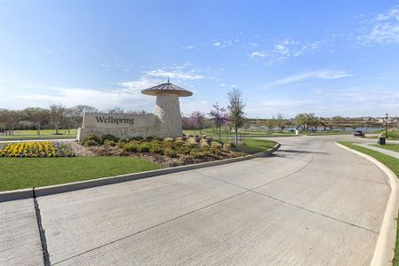 Wellspring Estates by First Texas Homes in Celina - photo 27