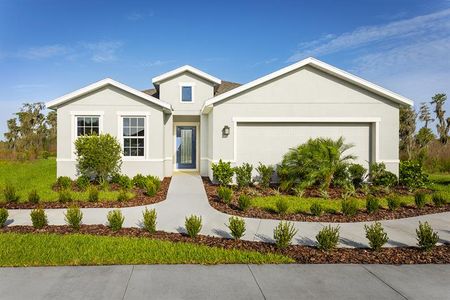 Overlook at Grassy Lake by Ryan Homes in Minneola - photo 1