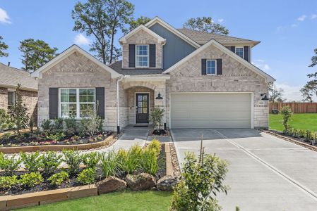 Sorella by M/I Homes in Tomball - photo 15 15