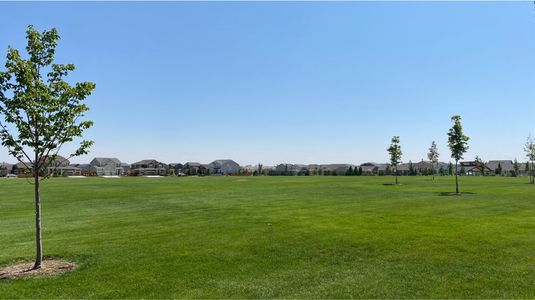 Orchard Farms: The Monarch Collection by Lennar in Thornton - photo 2