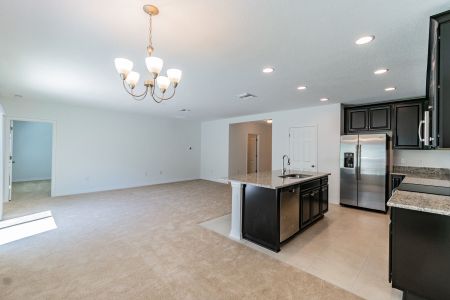 Hilltop Point by M/I Homes in Dade City - photo 23 23