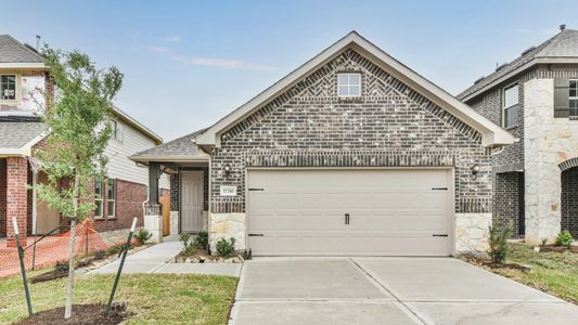 Devonshire by HistoryMaker Homes in Forney - photo 10 10